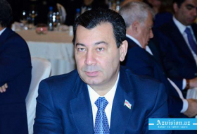 Samad Seyidov: Quelques députés avait l`intention de saper les liens entre l`Azerbaïdjan et l`UE